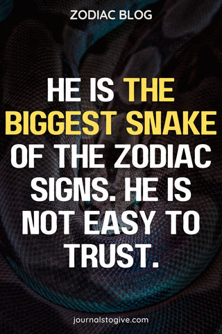 The biggest snakes of the zodiac signs 2