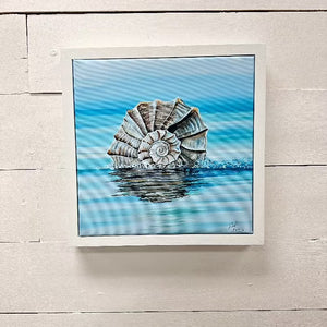 Assorted Welk Shell Prints - Sunshine & Sweet Pea's Coastal Décor 