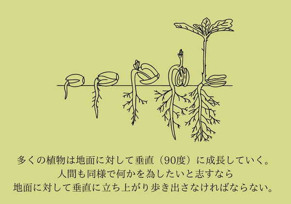 多くの植物は地面に対して垂直（90度）に成長していく。 人間も同様で何かを為したいと志すなら 地面に対して垂直に立ち上がり歩き出さなければならない。