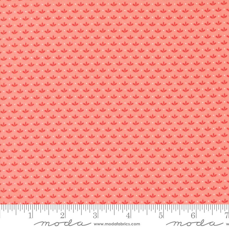 Raspberry Summer - Sprout Blender Carnation - 37694 12