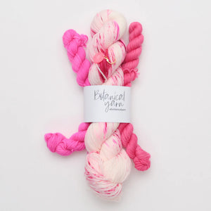 Starlight Knitting Society Sock Set - The Sewing House, Inc