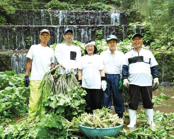 Kameya farmers and staff in front of a wasabi field