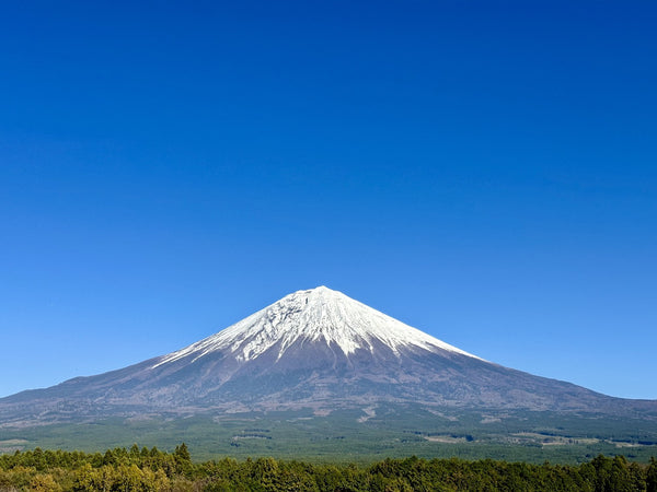 Snow-capped Mount Fuji