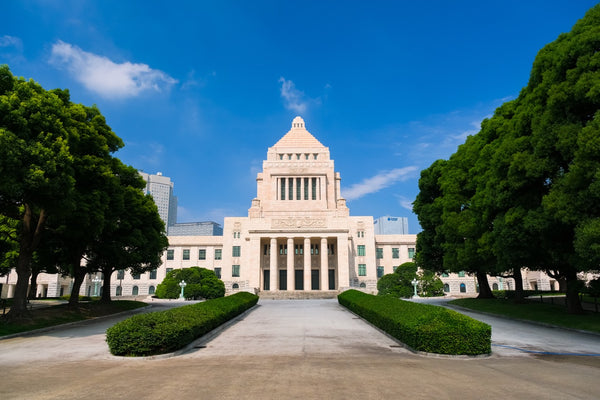 The National Diet Building of Japan opens its door for public viewing only on Constitution Memorial Day