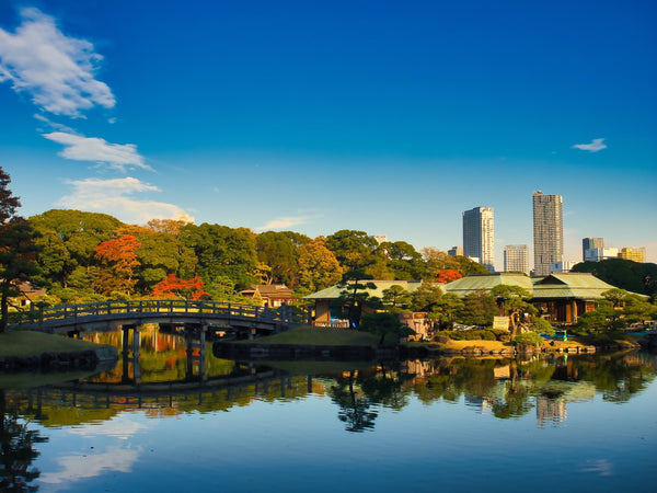 Embrace Greenery Day by immersing yourself in the serene nature presented by Hamarikyu Gardens in the midst of the bustling metropolitan of Tokyo.
