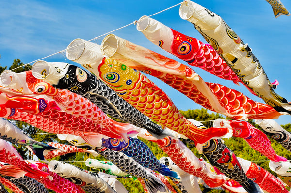 Carp streamers, or koinobori, being flown in celebration of Children’s Day, symbolising luck and good fortune