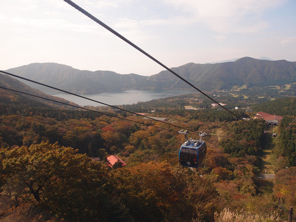 Hakone Ropeway in autumn