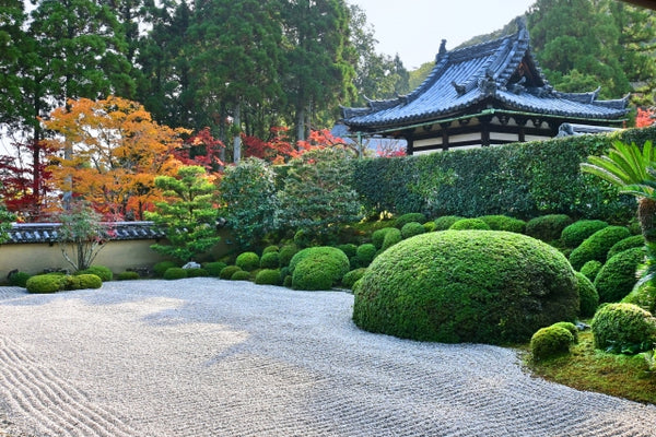 Shūon-an (Ikkyū-ji) Temple