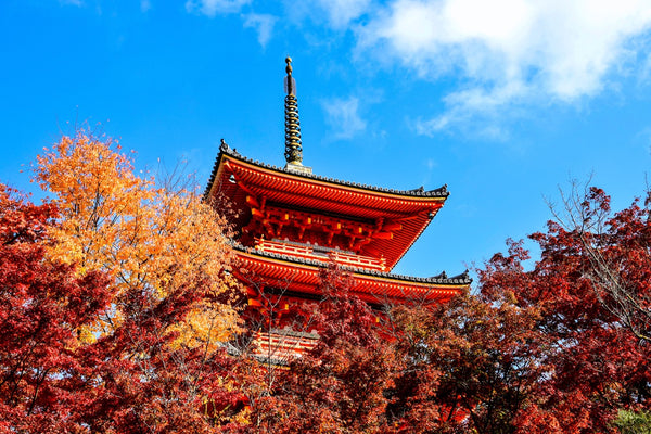 Temple in Japan peeking through autumn leaves