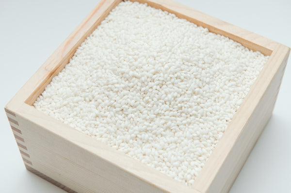 Glutinous rice grains