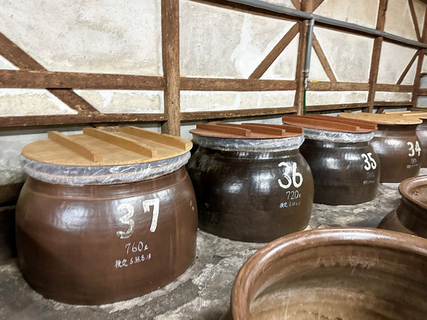 Ceramic jars for fermentation