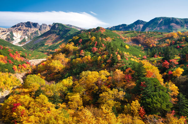 Autumn foliage in Daisetsuzan National Park, Hokkaido