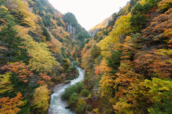 Takase gorge in autumn in Japan