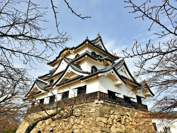 Hikone castle's main keep