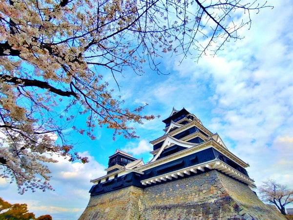 Kumamoto Castle in spring