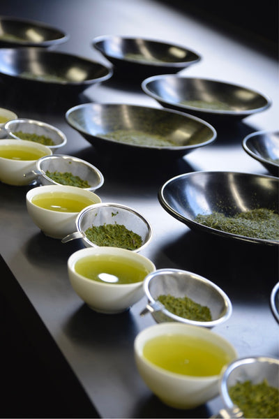 Tea leaves selected by tea masters