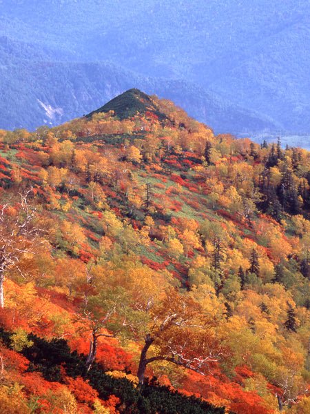 Autumn in Daisetsuzan National Park