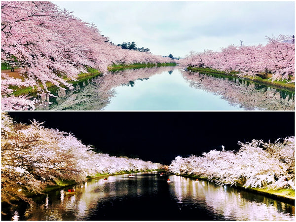 Hirosaki Park’s Western Moat during the daytime and night time