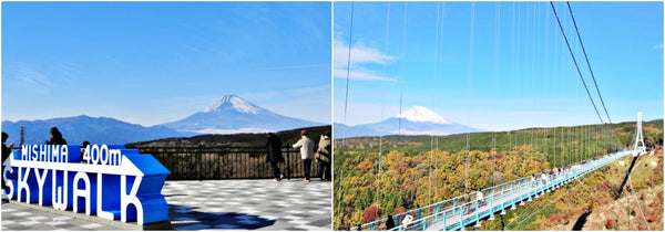 Mount Fuji from Mishima Skywalk
