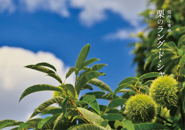 Chestnuts from Obuse, Nagano