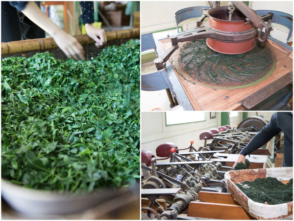 MaikoTea's in-house green tea production