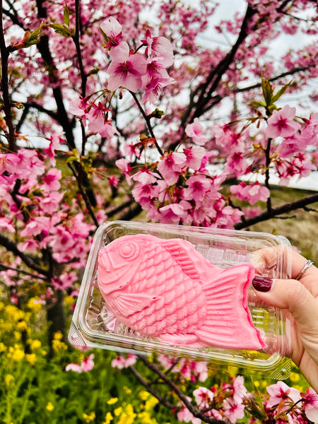Sakura taiyaki with kawazu cherry blossoms in the background