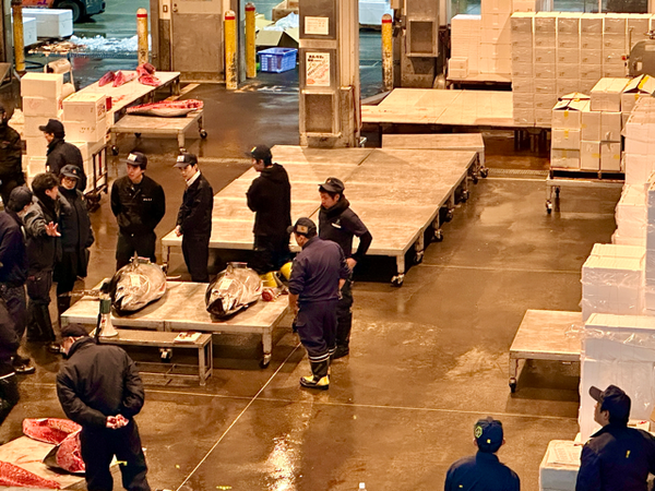 Bidding for fresh tuna at the tuna auction in Sapporo Central Wholesale Market