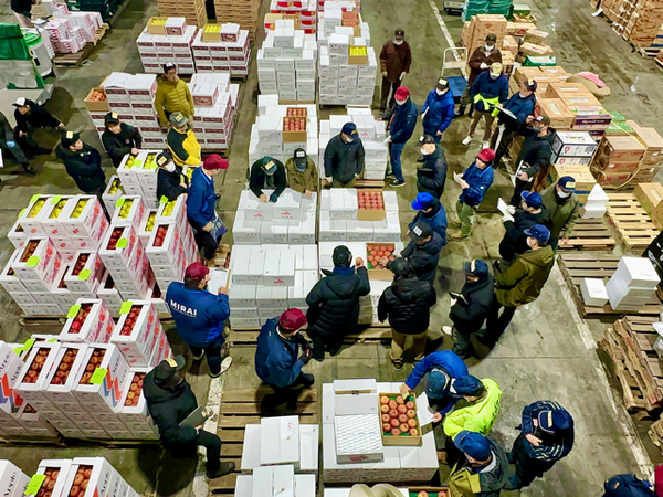 Fruits auction in the Fruits and Vegetables Building