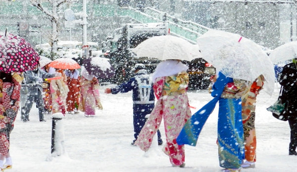 Heavy snowfall on Coming of Age Day in Japan