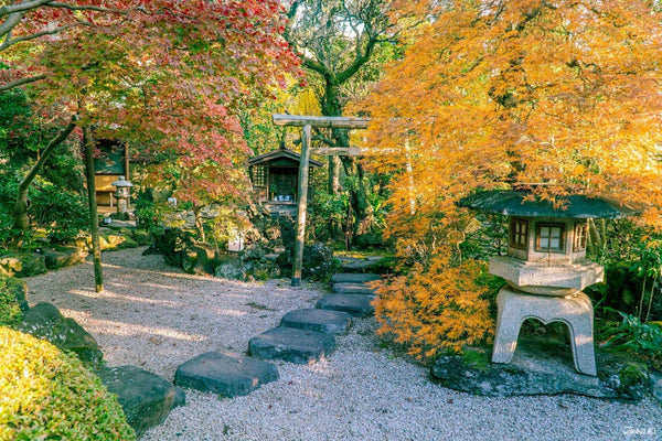 Tantoku Garden in autumn, Saitama