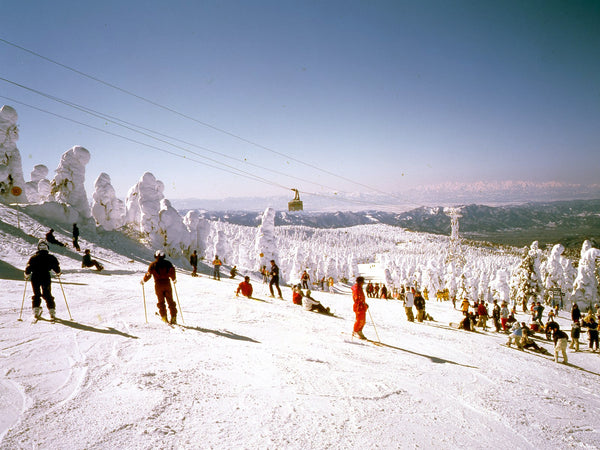 Skiers at Zao Onsen Ski Resort