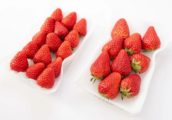 Small vs. medium-sized beni hoppe strawberries