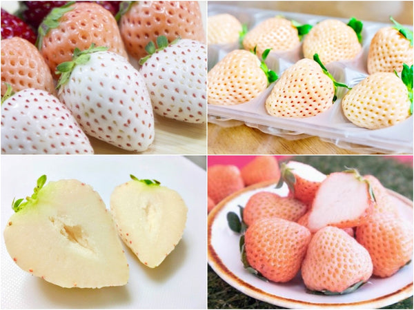 White strawberries are white on the inside - not to be confused with unripe strawberries!