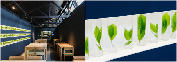 The newly opened “TEA SQUARE MORIHAN” tea facility allows you to experience Japan’s tea culture with all five senses