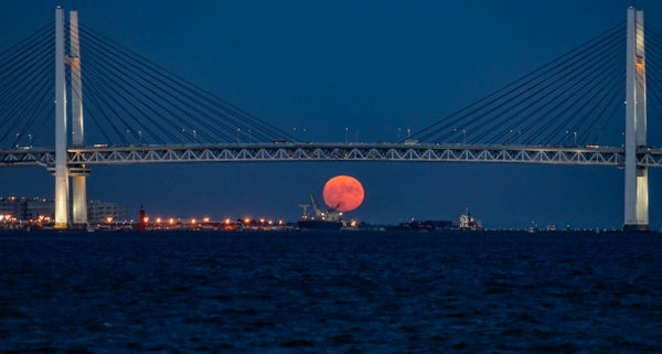 Full harvest moon in Yokohama Port