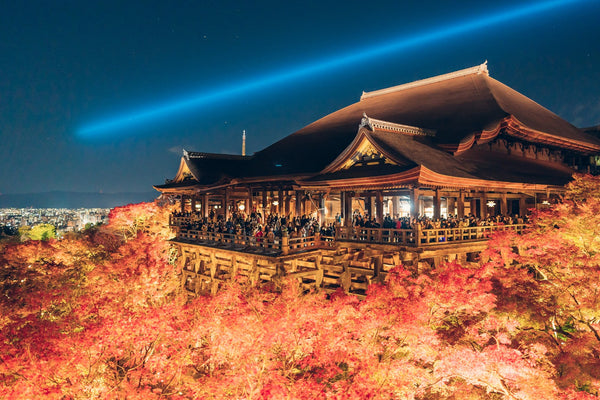 Night-time autumn leaves illumination at Kiyomizu