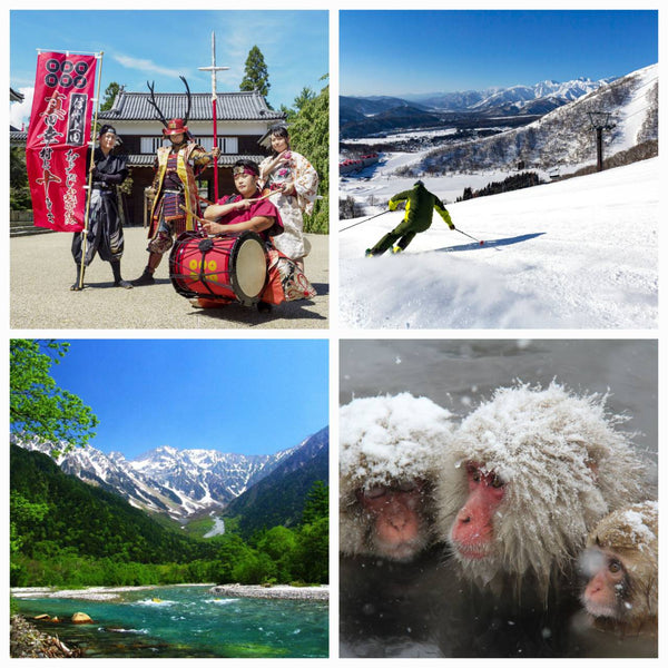 Ueda Castle, Hakuba, Kamikochi, Snow Monkeys