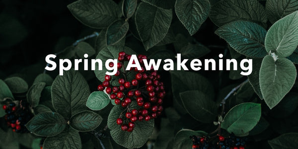 spring awakening