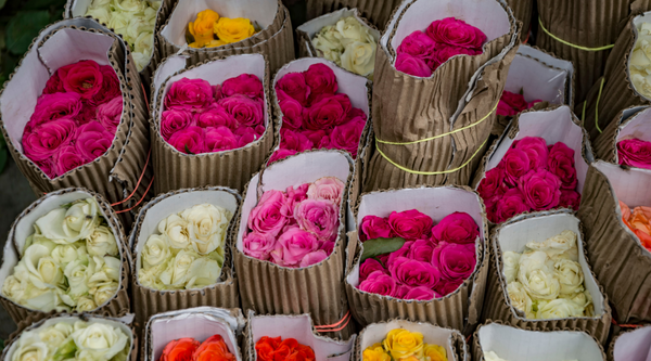 Multicolour roses wrapped with paper