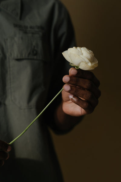 Person Holding White Rose