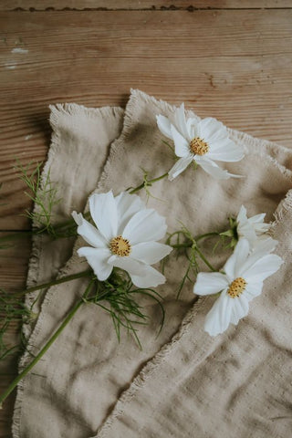 Little flowers on cloth