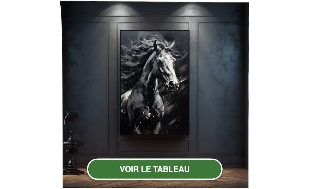 Peinture Cheval Noir Et Blanc