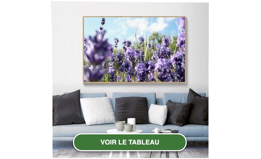 Tableau Sur Toile Champs De Lavande