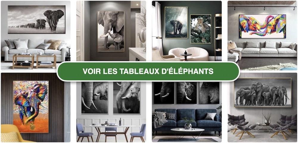Tableaux Éléphants