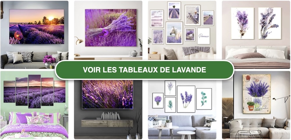 tableaux lavande