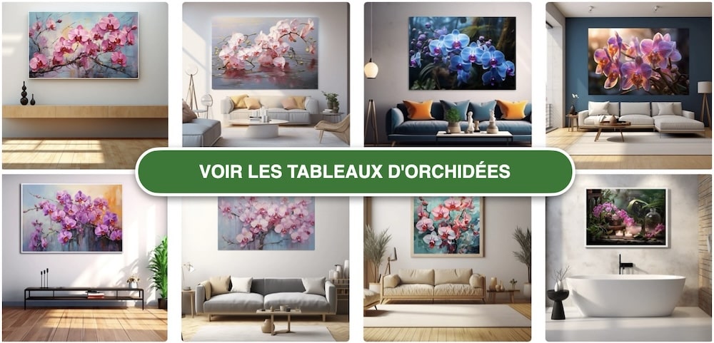 Tableaux Orchidées