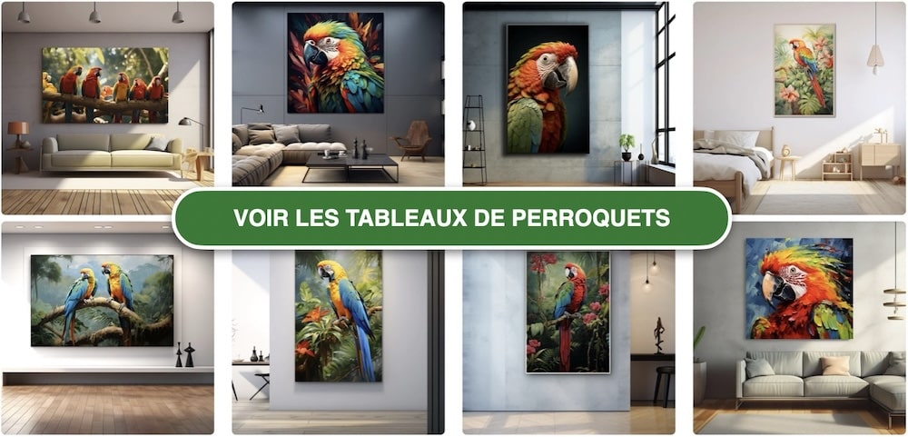 Tableaux Perroquets