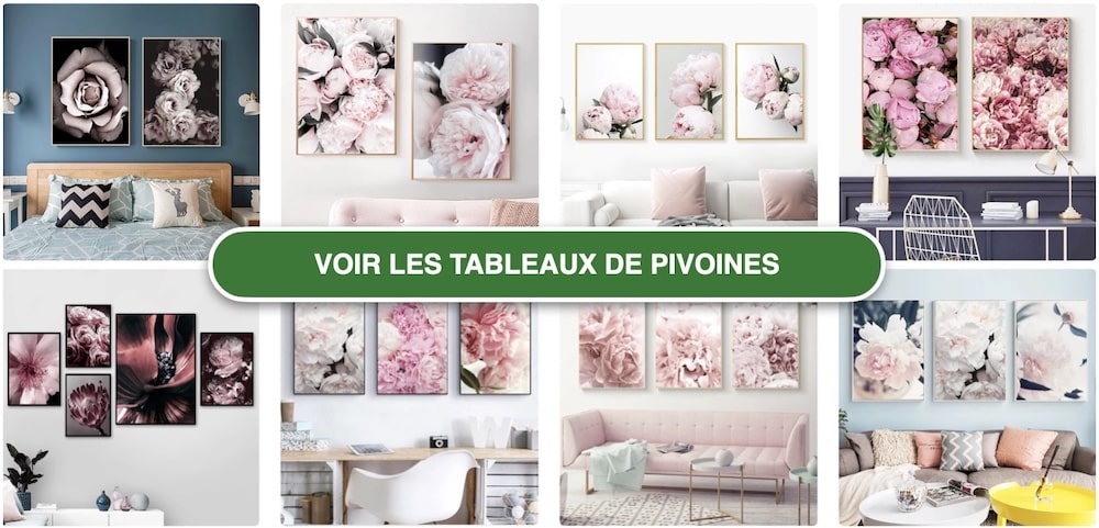 Tableaux Pivoines