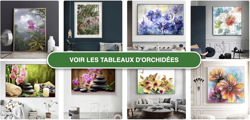 Tableaux orchideees