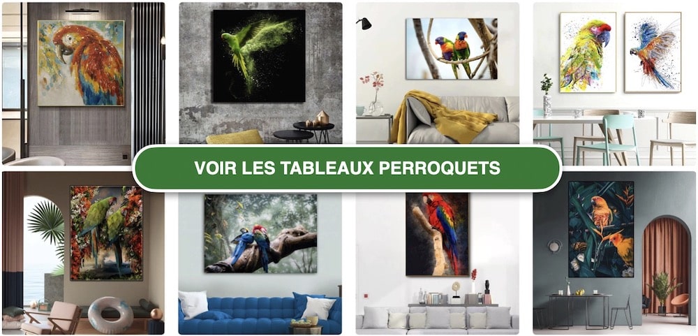 Tableaux perroquets